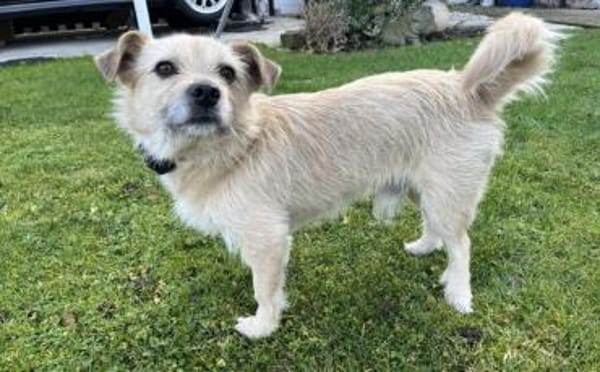 Leano wartet schon auf dich!