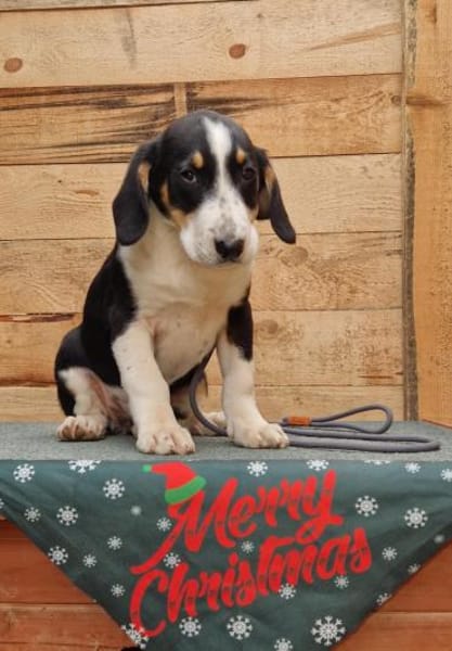 Aruna sucht dich - ja dich