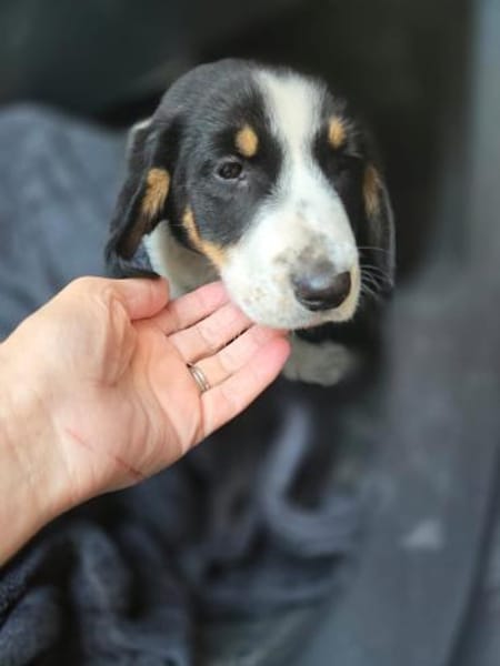 Aruna sucht dich - ja dich