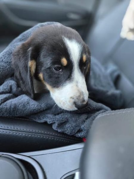 Aruna sucht dich - ja dich