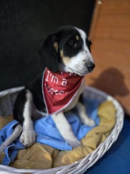 Aruna sucht dich - ja dich