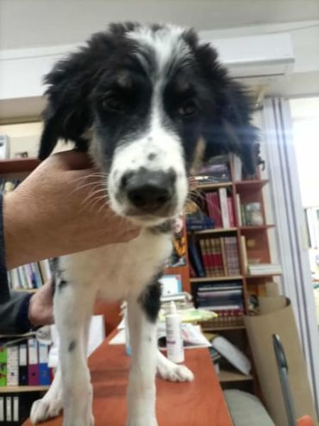 Patty - voller Hoffnung!