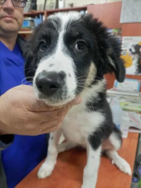 Patty - voller Hoffnung!