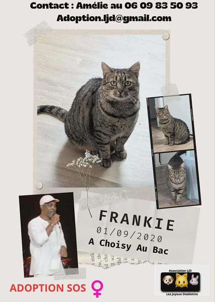 Frankie