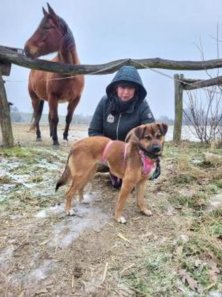 Süße,  menschenbezogene Bamby