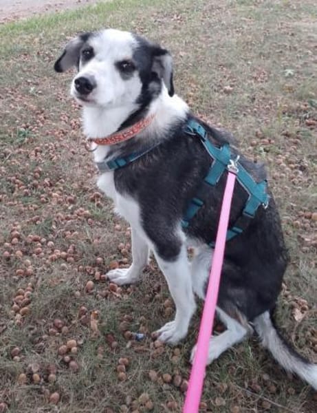 Jule hat ihr Zuhause verloren