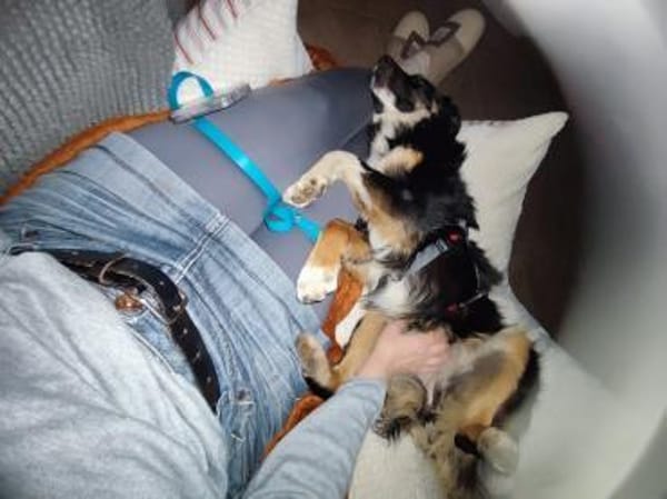 PAMMIE  * aktive Alltagbegleitung in spe