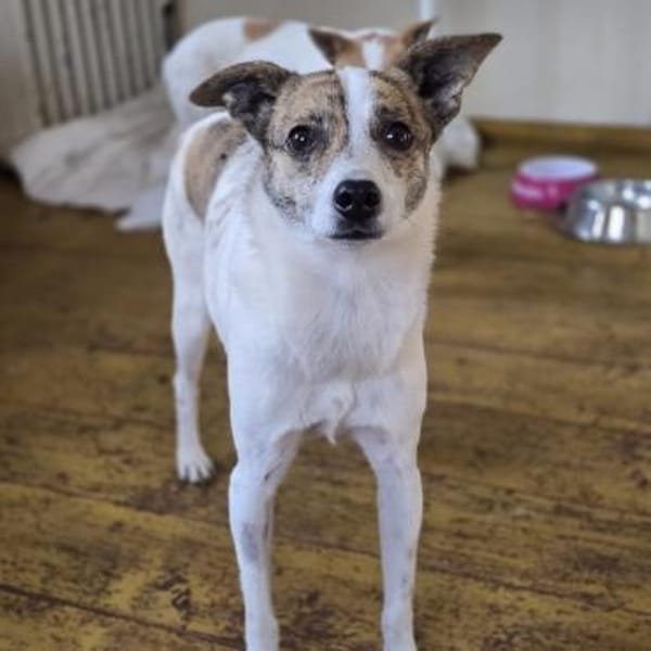 tapfere Riley such ihr Glück