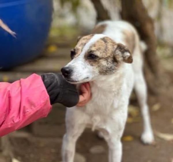 tapfere Riley such ihr Glück