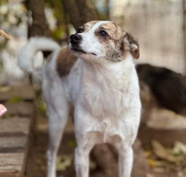 tapfere Riley such ihr Glück