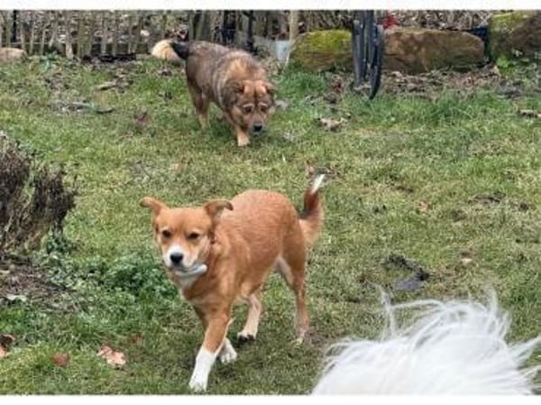 Julia - wartet in 76857 Albersweiler