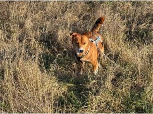 Julia - wartet in 76857 Albersweiler