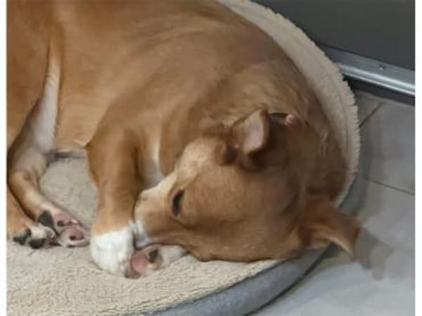 Julia - wartet in 76857 Albersweiler