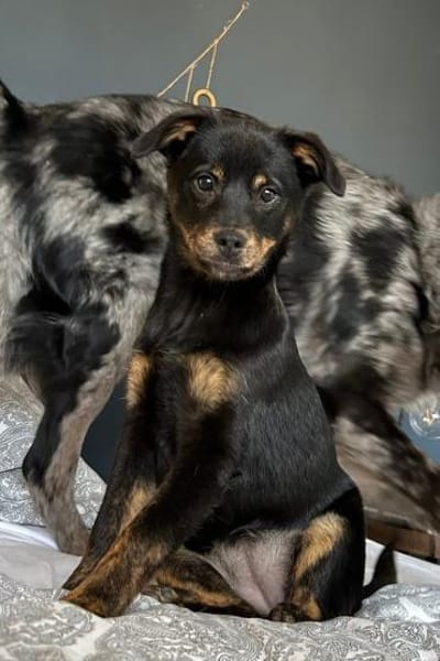 Babsi 💗 wartet in 45147 Essen