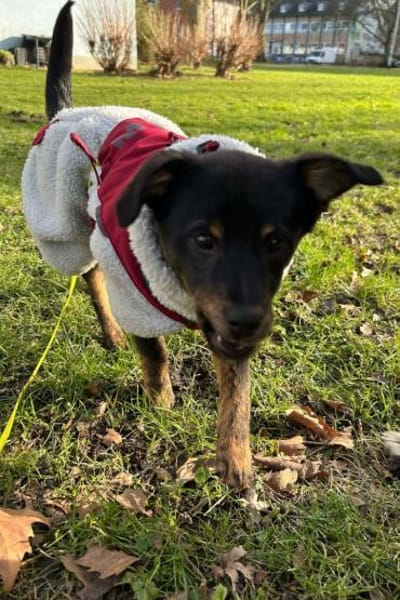 Babsi 💗 wartet in 45147 Essen