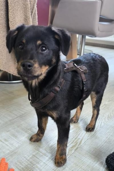 Babsi 💗 wartet in 45147 Essen