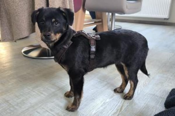 Babsi 💗 wartet in 45147 Essen