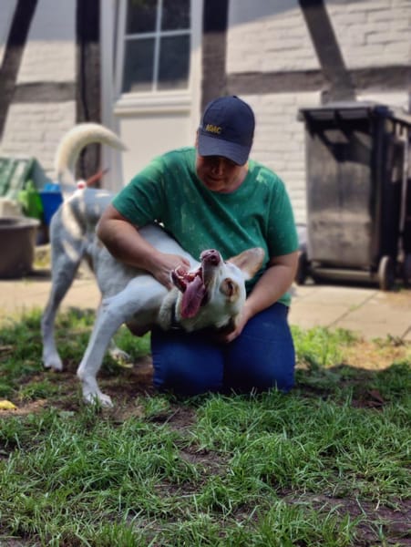 LUKE  unser tapferer Kämpfer sucht DICH