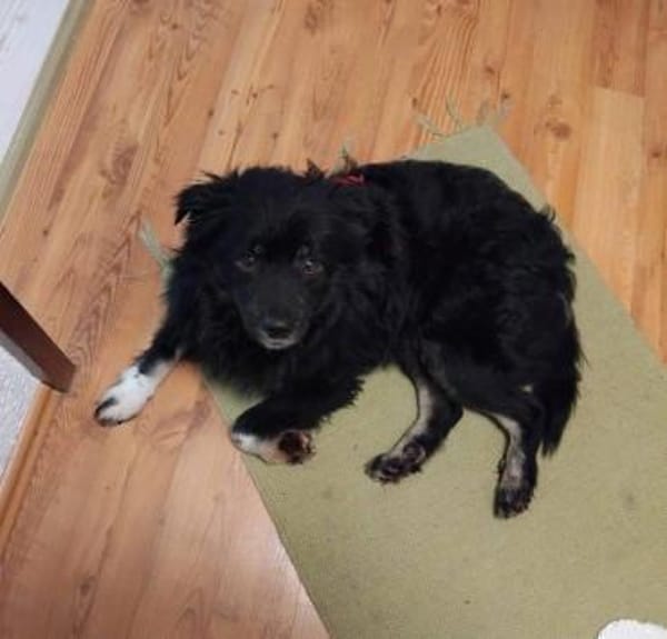 lieber Tommy auf PS in 90562