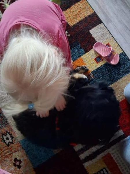 lieber Tommy auf PS in 90562