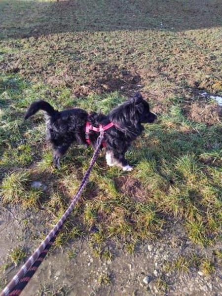 lieber Tommy auf PS in 90562