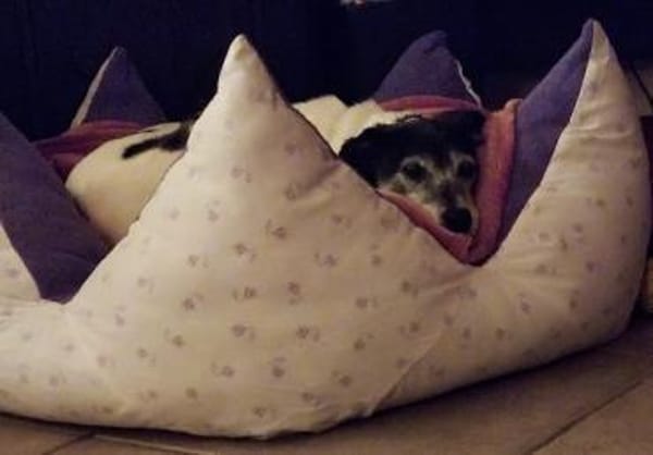 EILA  * lieb bescheiden unkompliziert