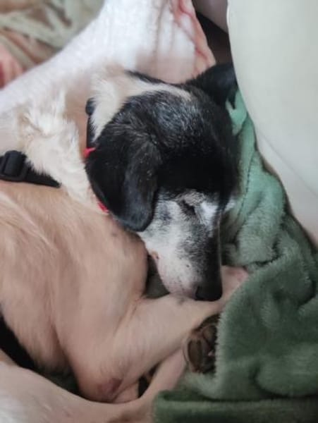 EILA  * lieb bescheiden unkompliziert