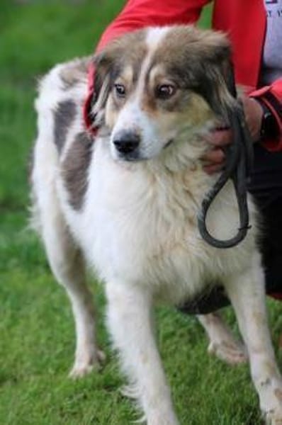 Niti - liebenswert u. angenehm