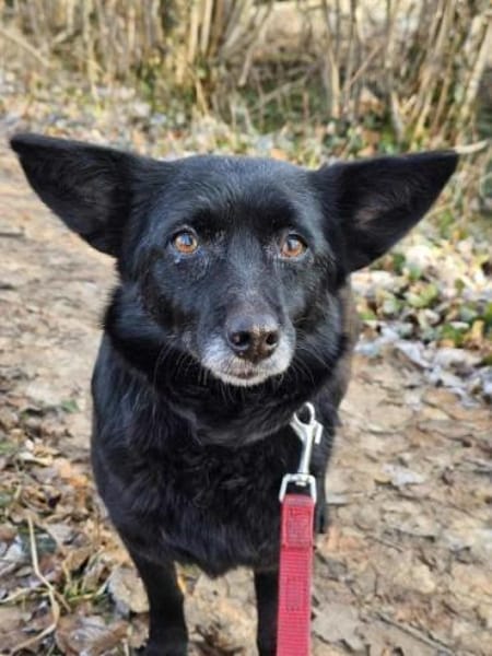 ELENYA -sensibel & feinfühlig-