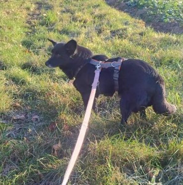 ELENYA -sensibel & feinfühlig-