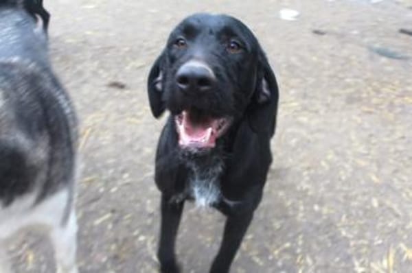 Duda sucht seine Familie