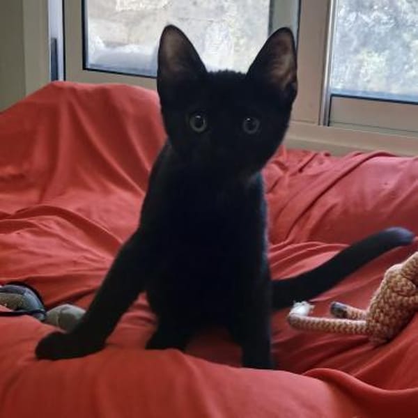 Kleine Olivia möchte die Welt entdecken!