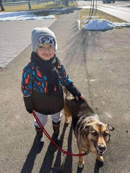 Matilda Schäferhund Mischling Hündin alt