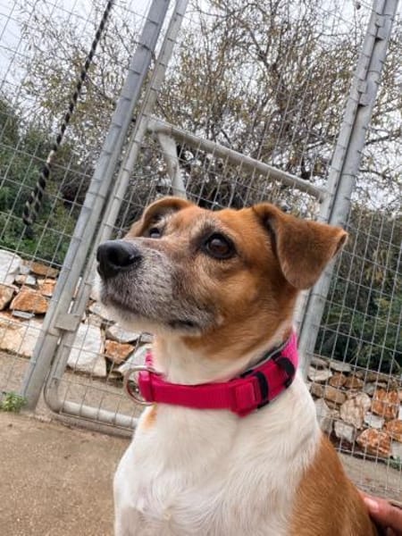 Sumi braucht nochmal Glück