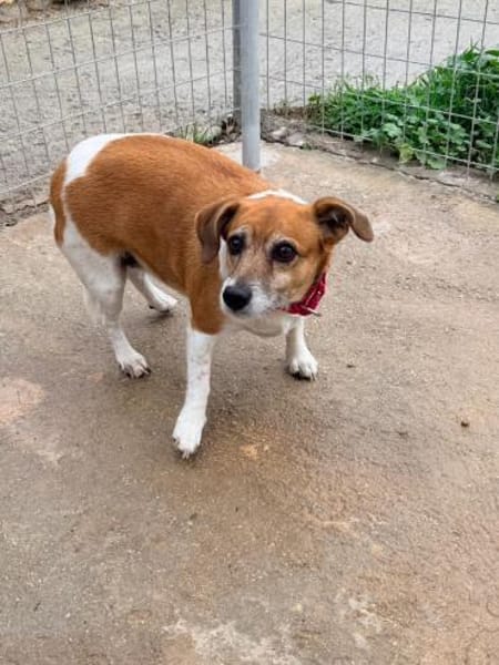 Sumi braucht nochmal Glück