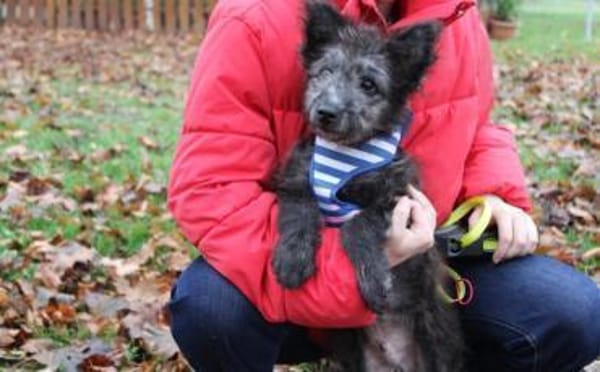 Floki - süß und einfach wunderbar