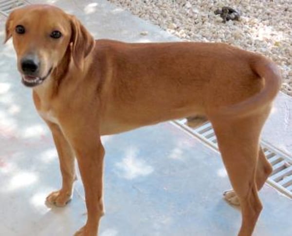 Fabio 2 -auf der Straße geboren-