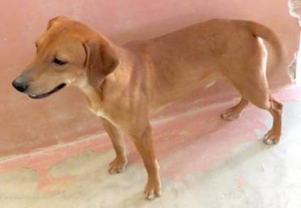 Fabio 2 -auf der Straße geboren-