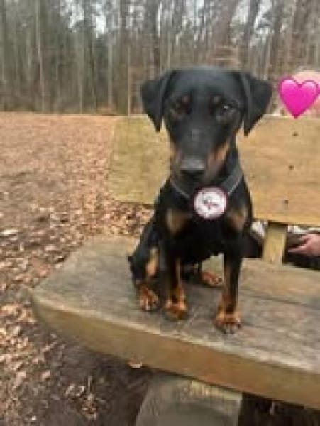 💙Emil sucht sein Zuhause 💙