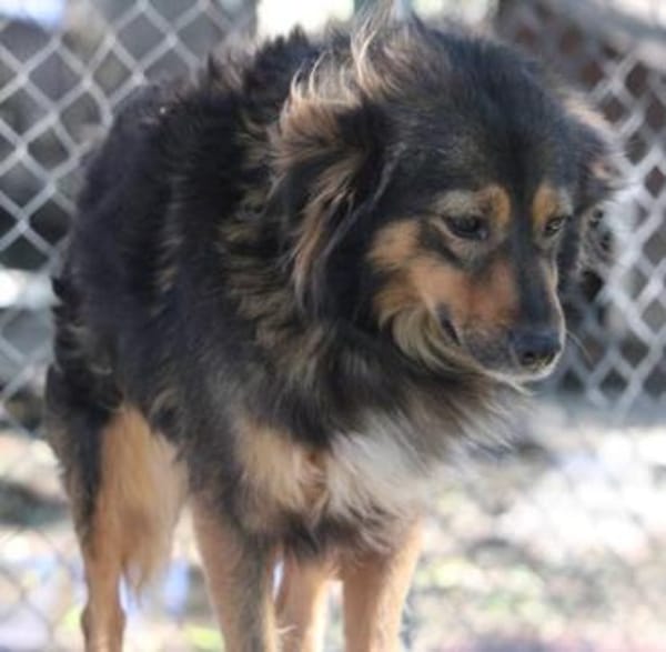 Milla ist verschmust, sanft und offen!