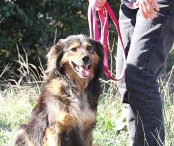 Milla ist verschmust, sanft und offen!