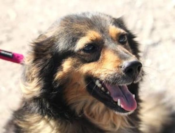 Milla ist verschmust, sanft und offen!