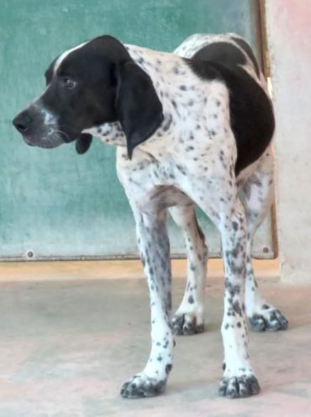 Max 12 -freundlich, teilw.noch unsicher-