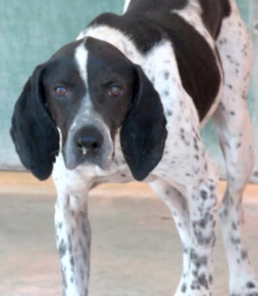 Max 12 -freundlich, teilw.noch unsicher-