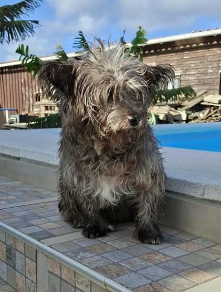 Pino - er braucht seine Zeit