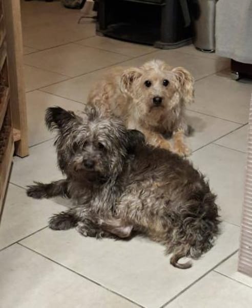 Pino - er braucht seine Zeit