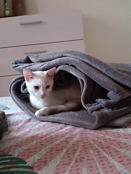 Lily Rose, la plus mignonne