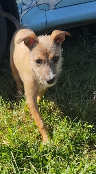 Ahsley, la joie de vivre