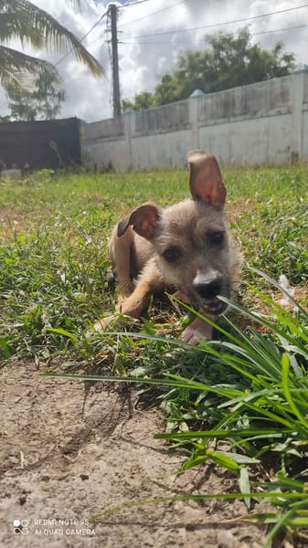 Ahsley, la joie de vivre