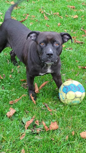 Paty, votre meilleure amie